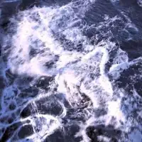 RealFlow 2012 x64位 含多平台接口