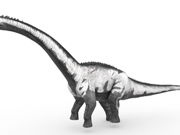 史前动物：蜥脚类恐龙(14套/含绑定动画）Sauropod 3d model)