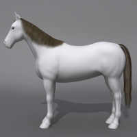 白马3D模型 horse 3d model