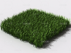 野草植物C4D模型 pattern_wild-grass-8