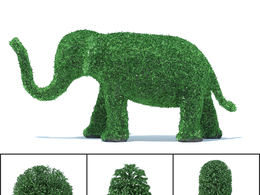 36个观赏园艺植物造型C4D模型合集 HEDGES