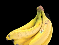 一把香蕉C4D模型 banana