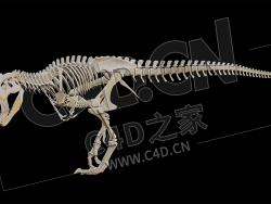 C4D恐龙骨骼霸王龙骨架模型