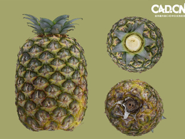 水果模型 凤梨 菠萝C4D模型 Pineapple 3d model