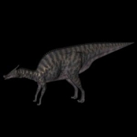 恐龙3D模型：蜥冠鳄龙(Saurolophus)