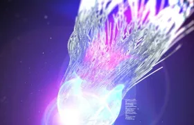 250套高级C4D动画模板工程文件完整版（合集一、合集二）Will Fortanbary Everyday Pro ...