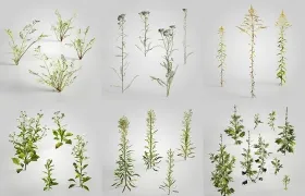 15个公园路边装饰景观花草C4D模型 Evermotion Archmodels vol. 235