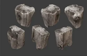 20个木桩朽木旧木头精细3D模型合集 SCANNED LOGS, PLANKS, STICKS AND STUMPS