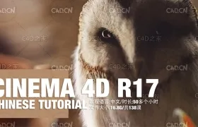 138集C4D基础入门中文视频教程CINEMA 4D Chinese Tutorial