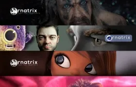 C4D毛发羽毛头发生成模拟插件 Ornatrix v2 2.0.10.26200 for Cinema 4D R23 Win