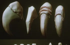 24个C4D锋利动物爪子模型合集 24 Character & Creature Claws & Nails