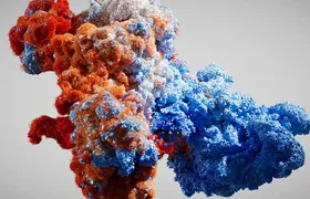 Cinema 4D 2025.0.2发布更新，支持windows