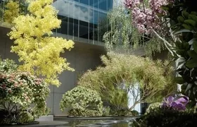 重磅独家：Maxon收购Laubwerk，27套高品质3D植物模型资源包即将登陆Cinema 4D资产库 ...