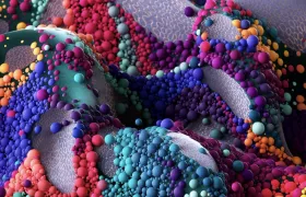 Maxon发布C4D 2025.3.2：修复崩溃问题+优化性能，解锁流体特效模拟 + AI 搜索新玩法！ ...